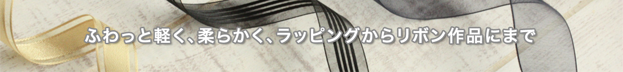 オーガンジー33.jpg
